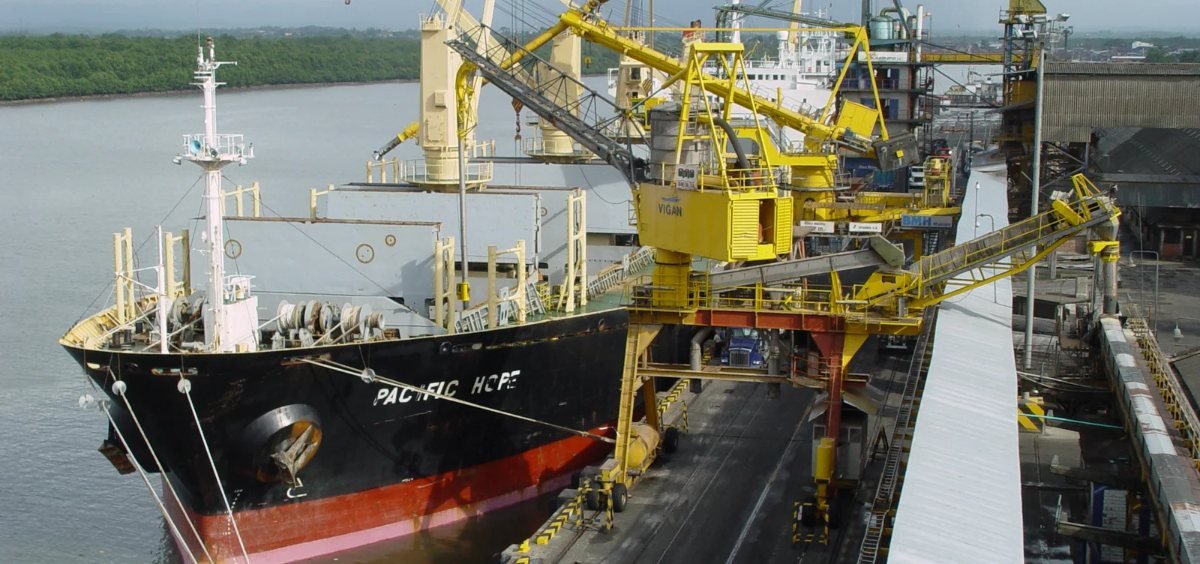 Buque Pacific Hope atracado junto a la grúa en el muelle de Operaciones Portuarias